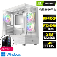 【NVIDIA】R5六核 Geforce RTX4060 3X WiN11P{安穩}電競電腦(R5-7500F/B650/64G D5/2TB)