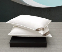 【南西CK home】VallinI30/70羽絨枕/對 C901P101