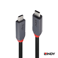 LINDY 林帝 ANTHRA USB 4 Gen 3x2 Type-C 公 to 公 傳輸線 + PD 智能電流晶片 1m (92000)