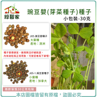 【綠藝家】J05.豌豆嬰(芽菜種子)種子30克