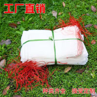 【免運】-水果套袋  白色袋 浸種袋 濾網 火龍果防果蠅防鳥袋子 防蟲網袋尼龍網袋子