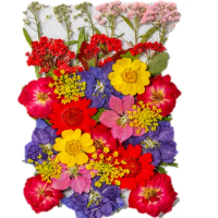 【A-ONE 匯旺】天然壓花 押花書籤 壓花材料包 乾燥花書籤 壓花DIY 樹葉書籤 乾燥花