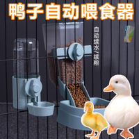 鴨子自動飲水器喂食器柯爾鴨寵物喝水壺小鴨雞吃食盆喝飯碗專用品 交換禮物