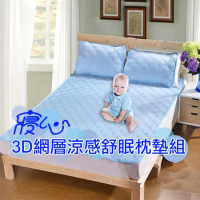 (寢心)外銷日本 3D網層涼感舒眠 QMAX3D  枕墊X2
