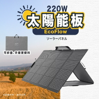 EcoFlow 220W 雙面太陽能電池板【APP下單最高22%點數回饋】