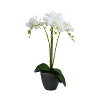 Arthome 54 Cm Bunga Artifisial Anggrek Phalaenopsis - Putih
