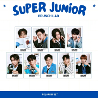 HOLOGRAM POLA ELF BRUNCH LAB 9 PCS KPOP UNOFFICIAL YESUNG EUNHYUK SIWON DONGHAE KYUHYUN