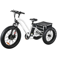 Fat tires 3 Wheel electric tricycle Trike Pedal Bike with 7-speed Derailleur