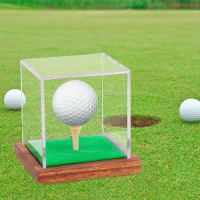Hộp Chân Đế Golf Ball, Có Tee, Để Sưu Tầm Đồ Lưu Niệm Giải Đấu, Quà Lưu Niệm