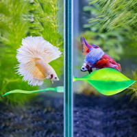 Betta Bed Leaf Hammock For Betta Fish Silicone Realistic Plant Resting Spot Accessories Fish Tank Decorations