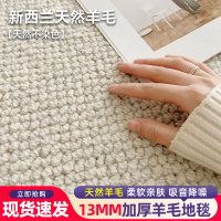 【質量保障】新西蘭手工羊毛地毯客廳現代簡約極簡純色臥室床邊毯