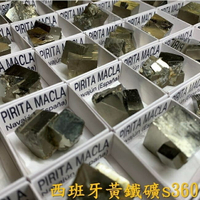 西班牙黃鐵礦精品礦標S360 附產地標示紙盒產地: Navajún La Rioja España西班牙 原礦  聖哲曼