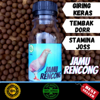 Jamu Merpati Rencong Merpati Balap dan Kolong