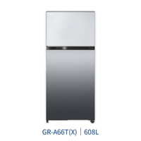 【點數10%回饋】TOSHIBA東芝 GR-AG66T-X  608L 雙門電冰箱 鏡面