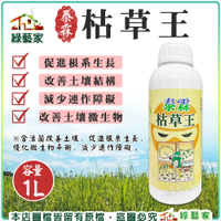 【綠藝家】泰霖枯草王1公升 溶磷菌(含枯草桿菌Y1336)打破土壤連作困局 改善土壤結構 幫助根系生