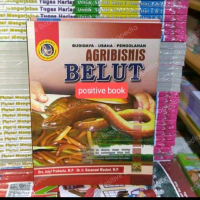 agribisnis belut budidaya belut original