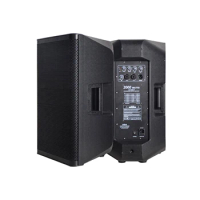 CAU15ADA Professional Audio 15'' Inch High Power 500W Powerked Speaker Active Speaker Sound System