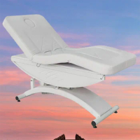 Furniture for Spa and Beauty Salons Stretcher Professional Massage Lash Table Bed Chair Sink Luxury Pedicure Cover Beds
