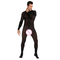 Crotchless Bodysuit Bodystocking Men's Solid Color Round Neck Long Sleeve Nightclub See Through Sexy Pajama Underwear