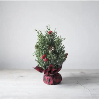 Small Christmas Tree A (B19137)