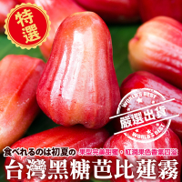 【果農直配】嘉義黑糖芭比蓮霧特大果3斤(約7-9粒)