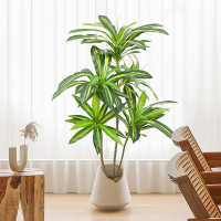 人造花 仿真植物 仿真樹 仿真綠植 仿真擺飾 真植物紅鐵樹假綠植盆栽巴西木盆景室內客廳仿生綠植裝飾擺件樹137S 快速出貨