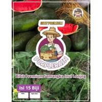 Bibit Premium Semangka Inul Lonjong | Biji Benih Semangka Lonjong