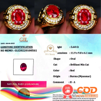 NATURALBATU PERMATA RUBY PIGEON BURMA KRISTAL CLEAN INCLUDE MEMO GIL GEMS LAB