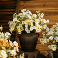 人造花 仿真植物 仿真樹 仿真綠植 仿真擺飾 雛菊仿真花野菊花洋甘菊絹花客廳餐桌插花假花干花花束裝飾擺設137S 快速出貨