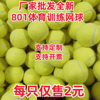 {台灣公司貨 可打統編}網球大學生初學者耐打訓練網球耐磨防爆初中級比賽專用按摩寵物球