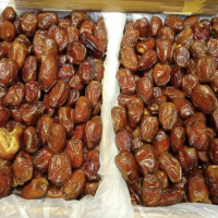 Kurma Mesir Jumbo 1kg Best Quality Kurma Madu Mesir Golden Valley Jumbo 1kg Best Quality