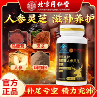 [SG Seller] Beijing Tong Ren Tang Deer Antler Ginseng Reishi Capsules Daily Vitality Supplement 0.4g