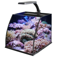 Ultra Clear Glass Mini Salt Water Marine Aquarium Fish Tank For Marine