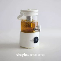 olayks立時恆溫花茶水龍頭養生壺家用多功能純鈦新款