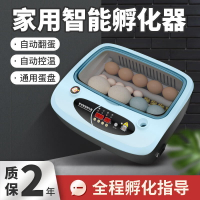 110v 孵蛋器孵化器 型 用 迷妳 全自動 智能 雞孵化機雞 鴨 鵝 鴿 孵化箱