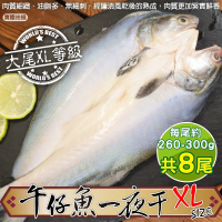 【顧三頓】台灣午仔魚一夜干XL號(8尾_260-300g/尾)