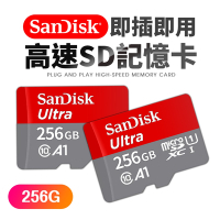 【1入組】SanDisk晟碟256GB Ultra microSDXC C10記憶卡120MB/s(SDSQUA4-256G-GN6MN)