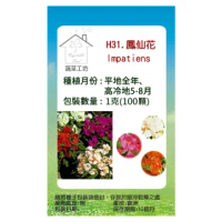 【蔬菜工坊】H31.鳳仙花種子(混合色高35cm)