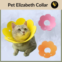 Kolar Leher Kucing Berbentuk Kon Bunga Matahari Elizabeth untuk Kucing yang Sakit, Kolar E Anak Kuci