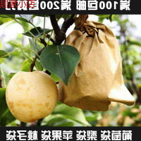 梨子套袋專用袋防鳥防蟲袋水果套袋套葡萄的紙袋子防水包梨袋