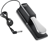 Donner DSP-001 Sustain Pedal For Keyboard, Universal Piano Pedal With Polarity Switch For Digital Pi