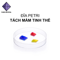 Đĩa petri nhựa tách chọn mầm tinh thể 90x15mm