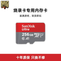 {台灣公司貨 可打統編}燒錄卡專用 閃迪TF/MicroSD卡 適配燒錄卡migswitch可裝滿游戲