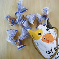 貓叼魚鬆造型禮盒(魚鬆隨身包)
