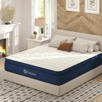 10 Inch Queen Size Mattress in a Box, Hybrid Mattress, Ultimate Motion Isolation with Gel Memory Foam and Pocket Spring