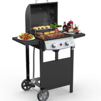 2 Burner BBQ Propane Gas Grill, Stainless Steel 20000 BTU, Equipped with 2 Sides Storage Shelves and 2 Wheels for Easy Mobility