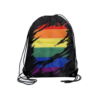 Directly Delivery Waterproof Oxford cloth Gay Pride Rainbow Bag