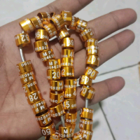 RING MERPATI GRATIS NAMA