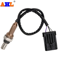 AHL適配 休旅電噴ZS500GY 宗申賽科龍RX500 RX4 排氣管筒氧傳感器