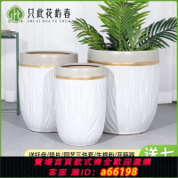 【台灣公司 可開發票】北歐簡約新款白色樹紋散尾葵金錢樹落地客廳室內外大口徑陶瓷花盆
